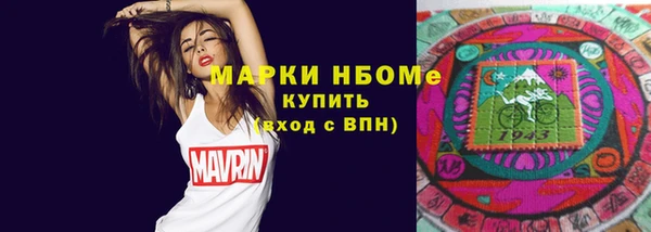 дмт Богородск