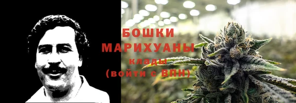 дмт Богородск