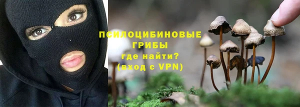 дмт Богородск