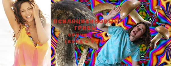 ешки Богданович