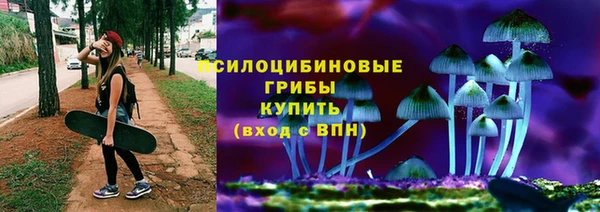 дмт Богородск