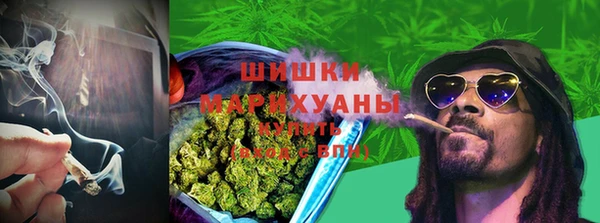 дмт Богородск