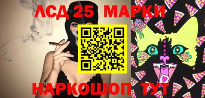 гидропоника Кунгур