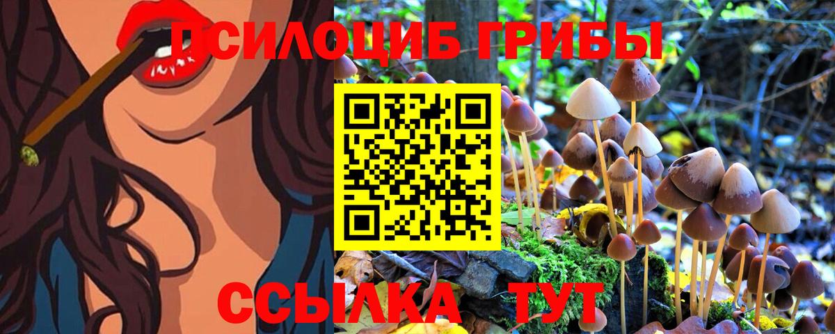 Псилоцибиновые грибы Psilocybine cubensis  Вход с VPN  Горячий Ключ  Галлюциногенные грибы MAGIC MUSHROOMS 