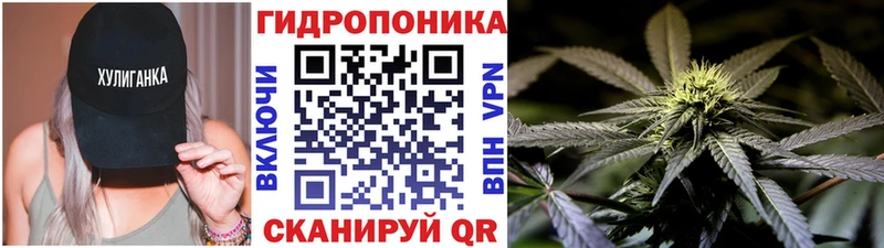 Каннабис семена Горячий Ключ